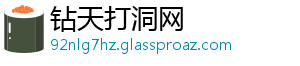 钻天打洞网